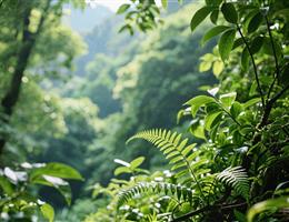 小鹏汽车新品发布会/宣传片拍摄-企业宣传片拍摄-企业宣传片-三维动画制作-制作宣传片公司-影视公司